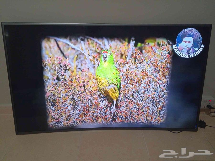 شاشة سامسونج سمارت كيرف للبيع64421472119937112