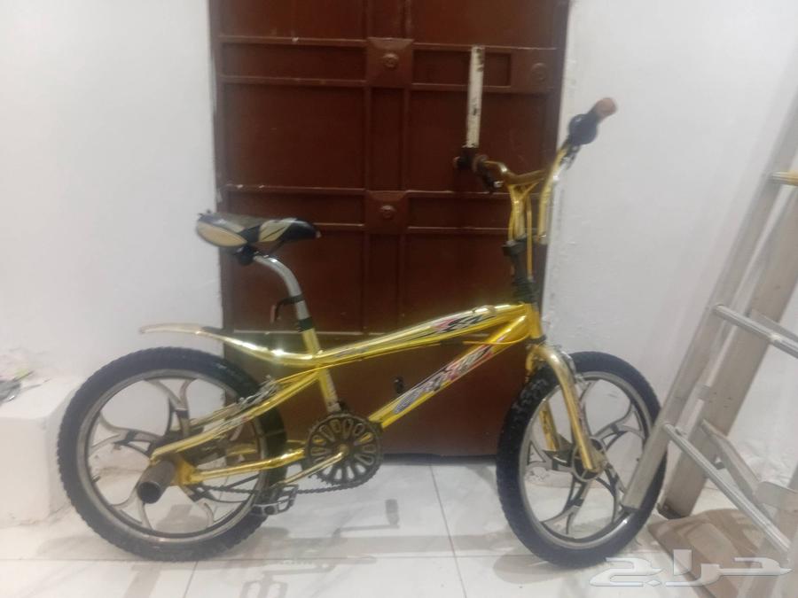 A bike.. It's called the golden bike.. I bought it two years ago for 500 riyals64420027407107110