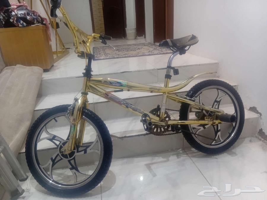 A bike.. It's called the golden bike.. I bought it two years ago for 500 riyals64420027407107111
