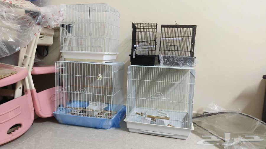 اقفاص شبه جديده في واحد منهم جديد64422421385219110