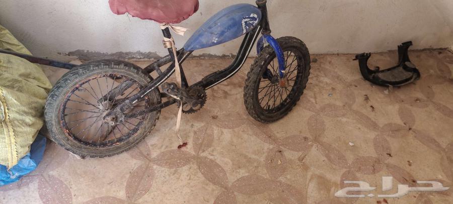 سيكل 20 سيكل 16 للبيع64425959545602113