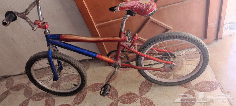 سيكل 20 سيكل 16 للبيع64425959545602111