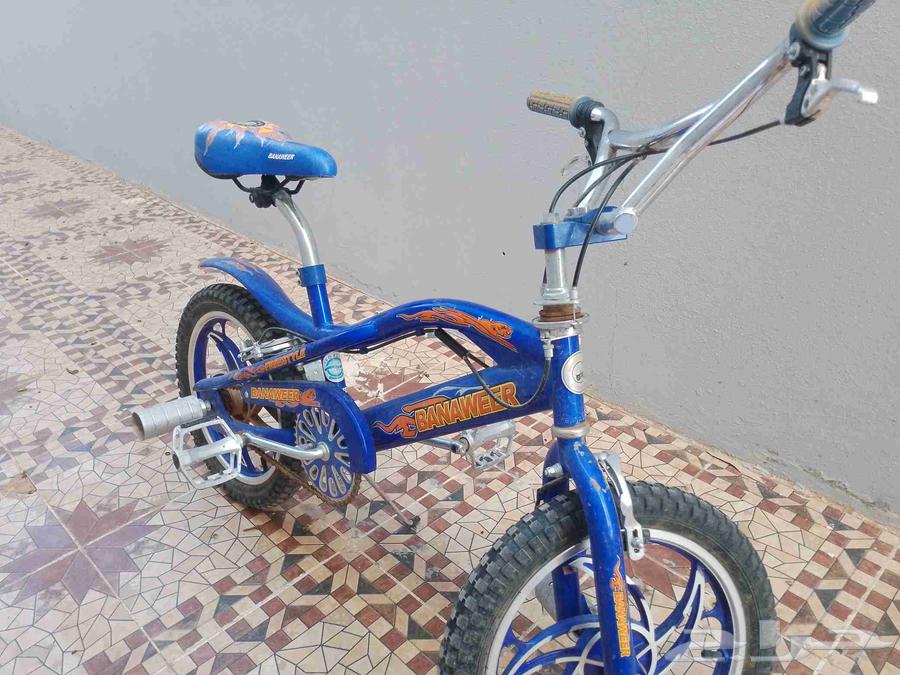 سيكلين للبيع كوبرا وبناتي64423260762369113