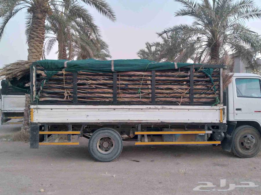 سعف نخل جديد أخضر للعرايش والمظلات64420688567939110