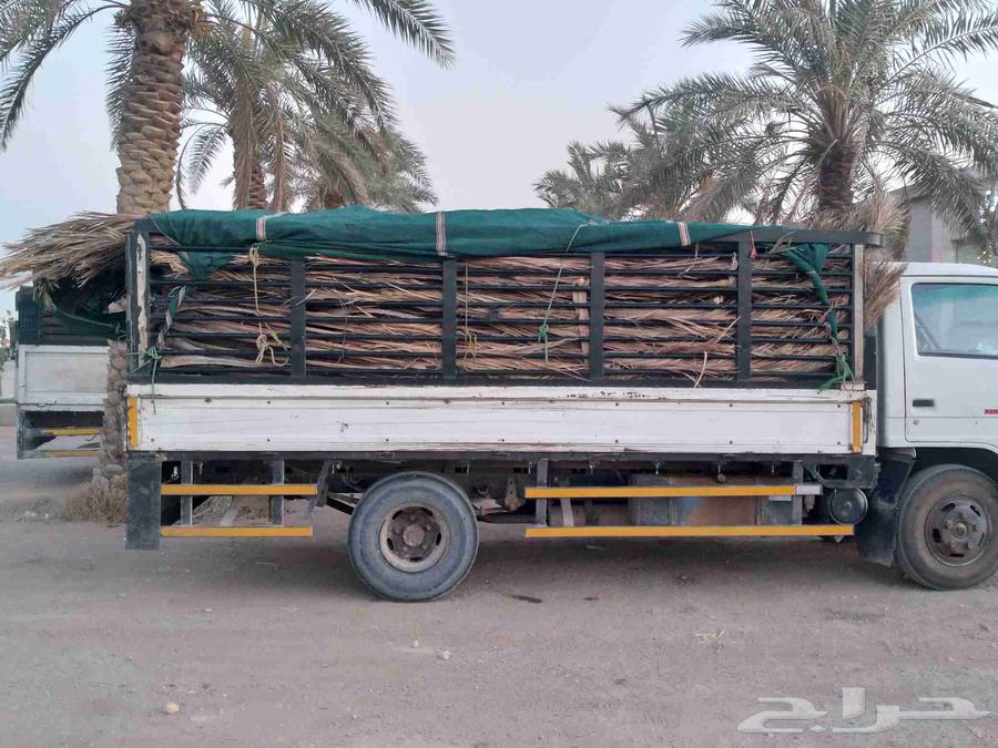 سعف نخل جديد أخضر للعرايش والمظلات64420688567939111