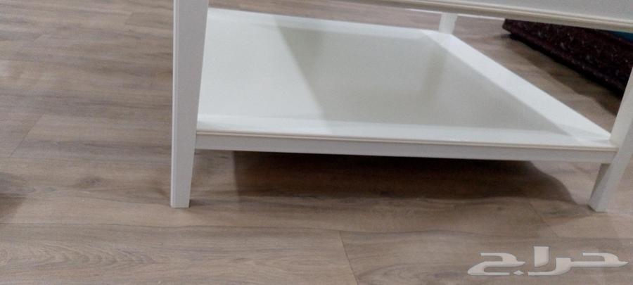 المدينه المنورة64423743685250111