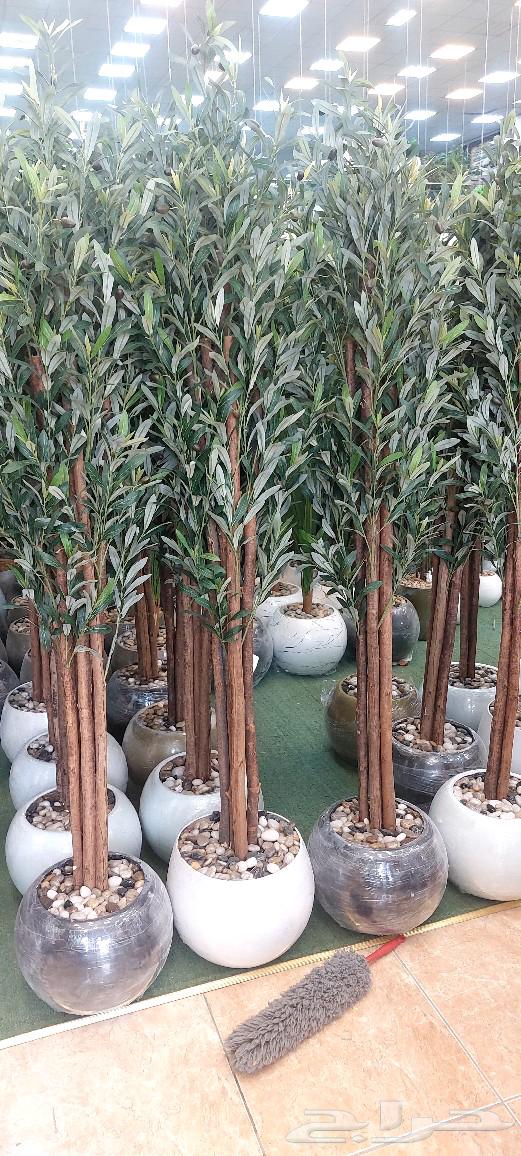 High-quality artificial trees with a beautiful hybrid and elegant appearance64420634520579112