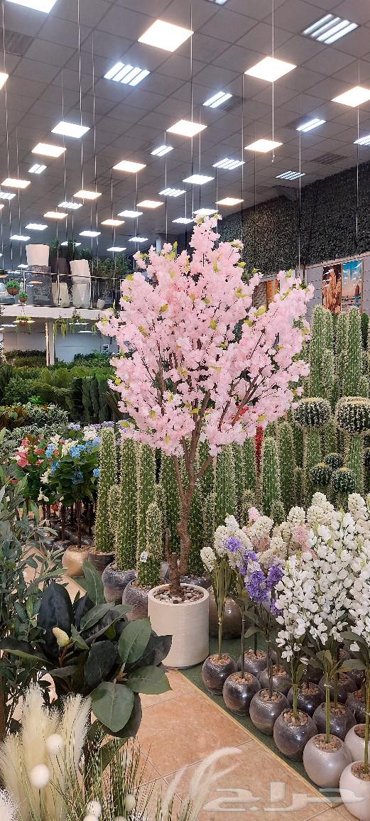 High-quality artificial trees with a beautiful hybrid and elegant appearance64420634520579110