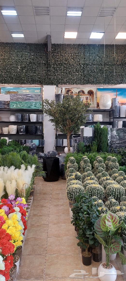 High-quality artificial trees with a beautiful hybrid and elegant appearance64420634520579114