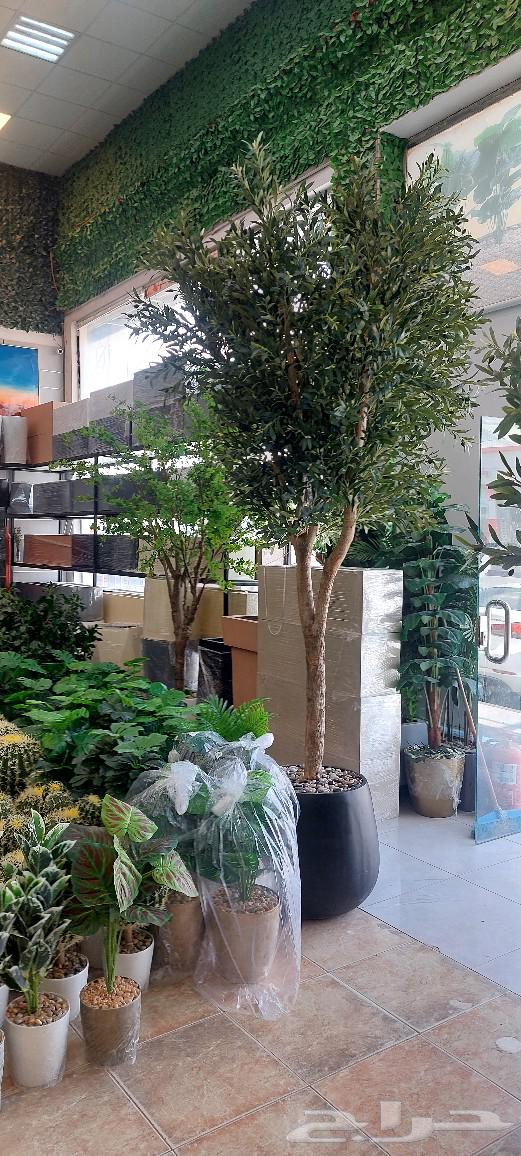 High-quality artificial trees with a beautiful hybrid and elegant appearance64420634520579111