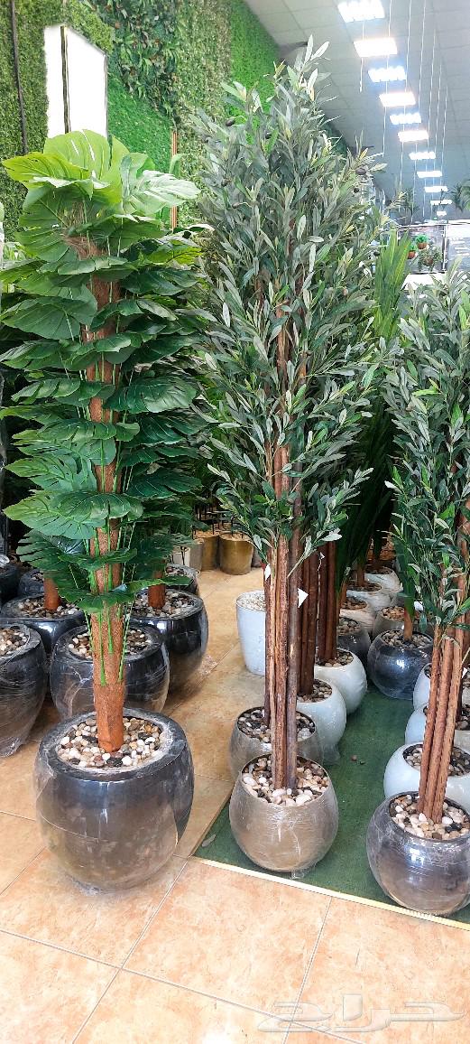 High-quality artificial trees with a beautiful hybrid and elegant appearance64420634520579113