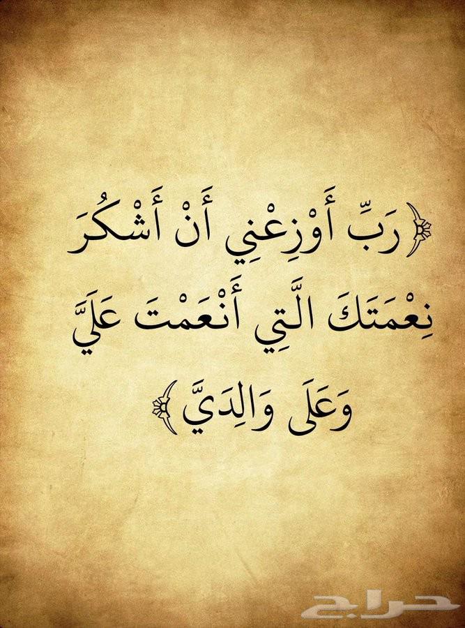 محفظة قرآن كريم ومعلمة تجويد متقنه بفضل الله64425637256195110