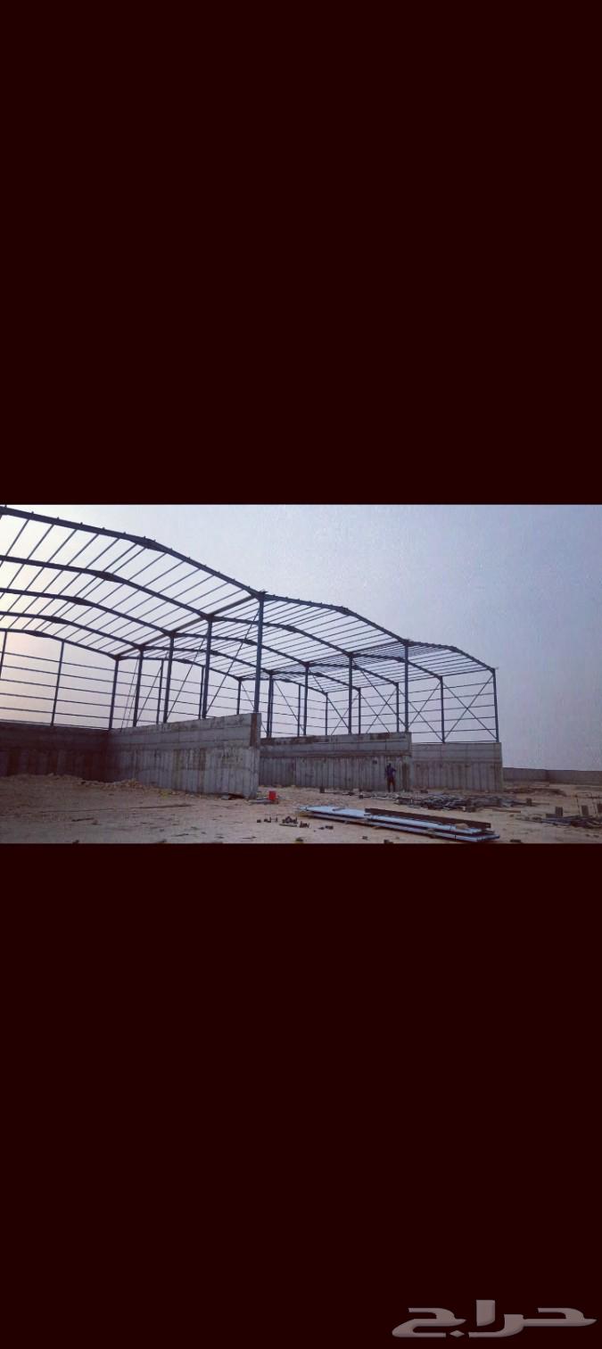 مملكةالمضلات والسواتروسندويش بنل لتواصل64390747616771111