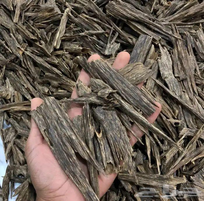 عود هندي نجلاند فاخر ( صيدة)64421743381763110