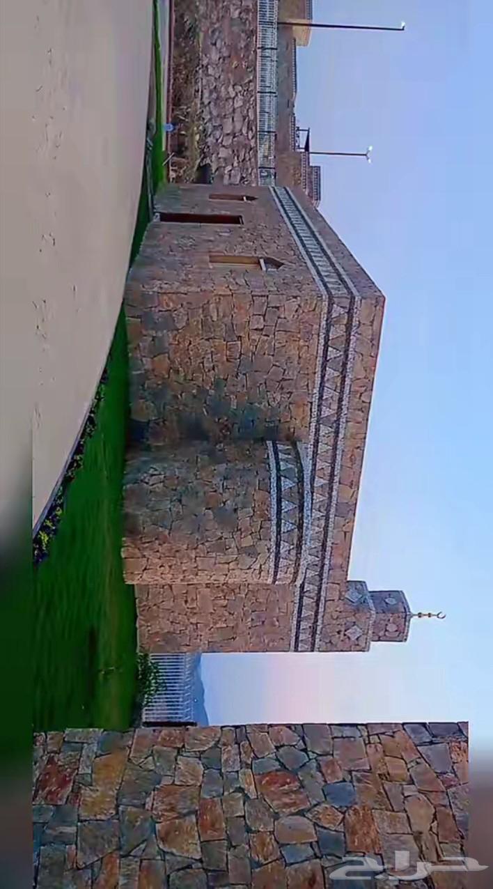 Cladding stone64142802226563112