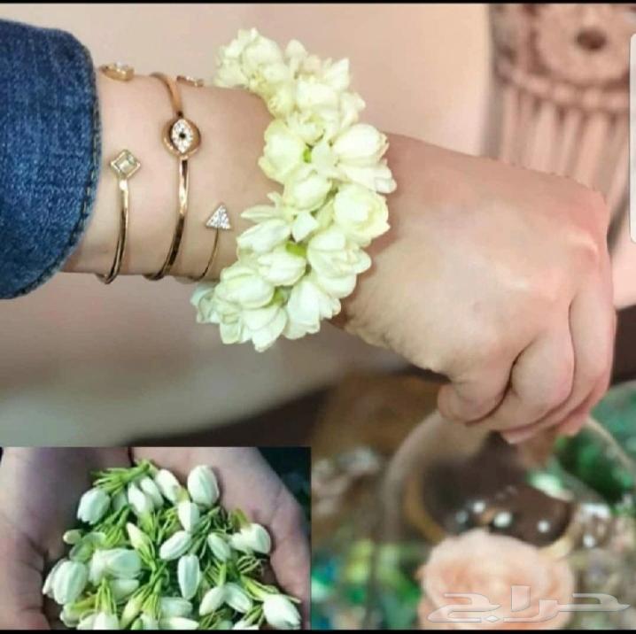 توزيعات_اساور_فل_يوم_الوطني عرض خاص64419481692674112