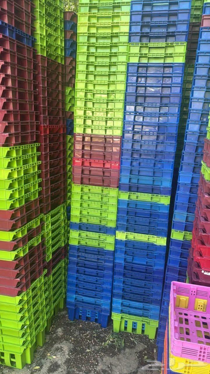 سلال مستخدمه64420216029058110