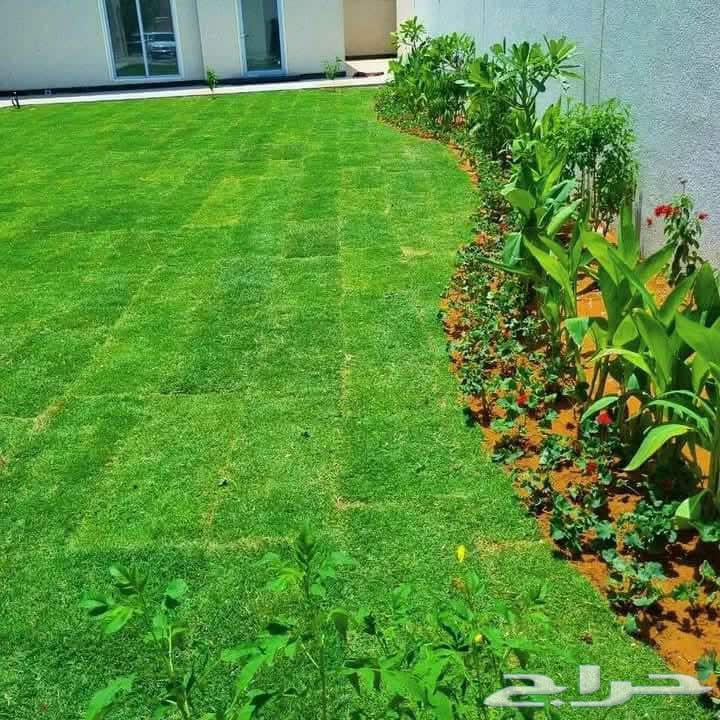 ثيل طبيعي جوده ممتازة مع التواصيل والتركيب64419647070850110