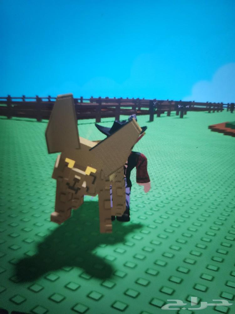 حيوانات ماب المزرعه قرو قاردن للبيع64419481567617112