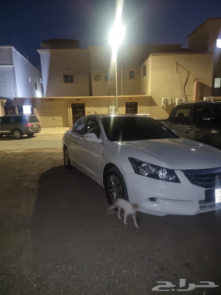 القصيم حي النخيل64420337329923114