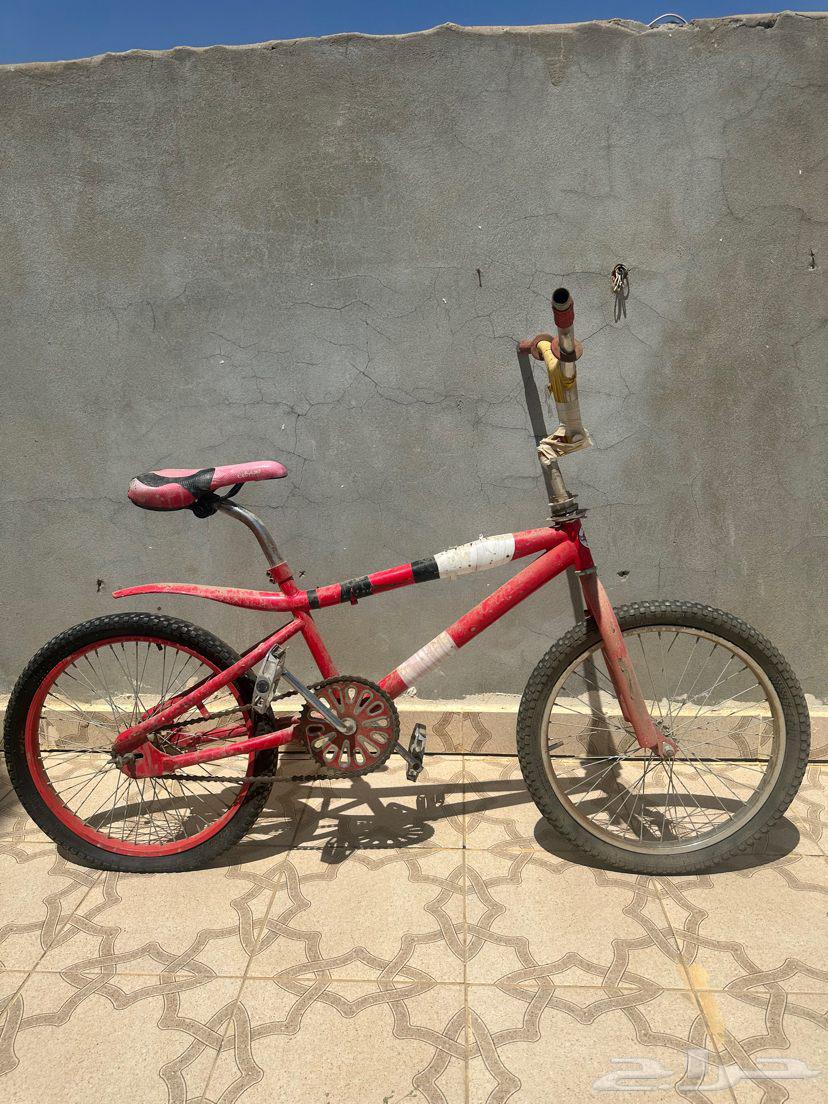 سكيل كوبرا للبيع64421377847553111