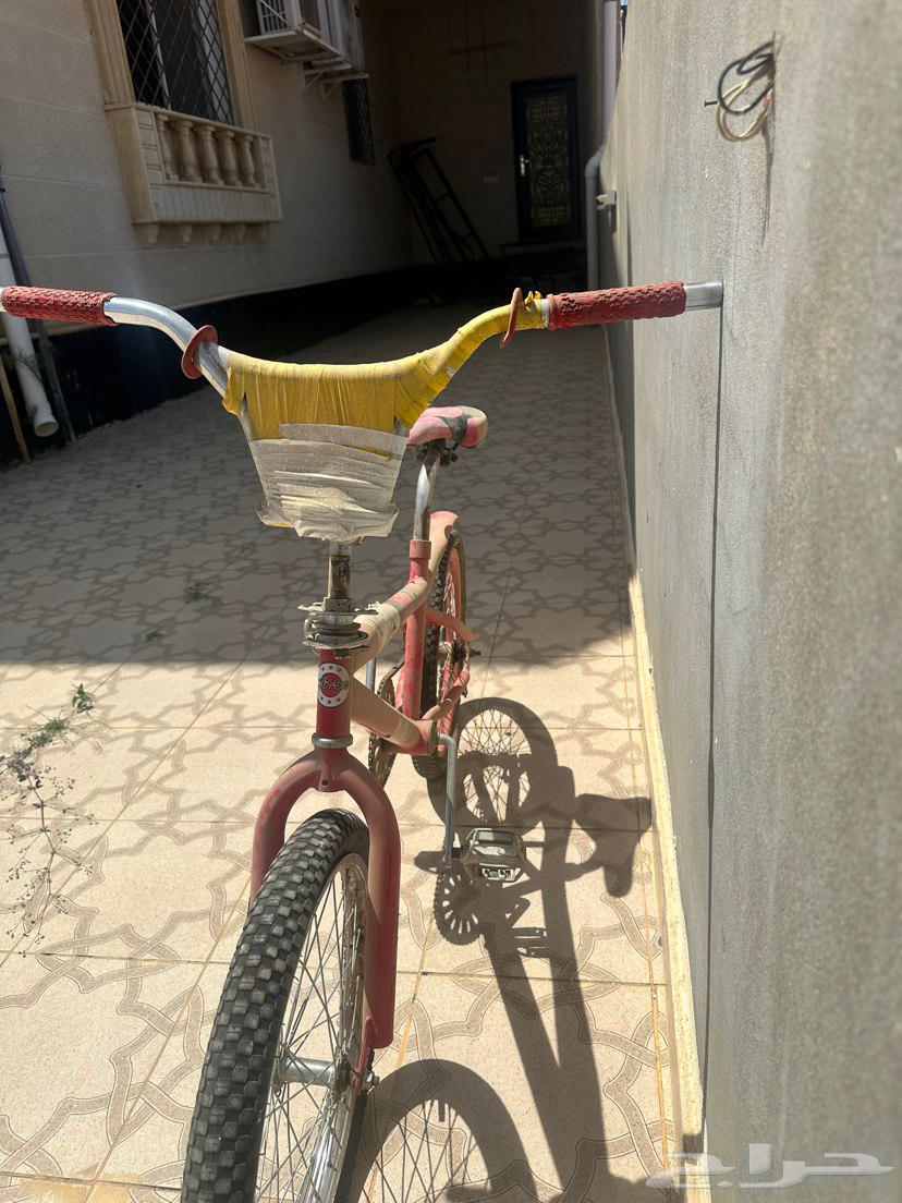 سكيل كوبرا للبيع64421377847553112