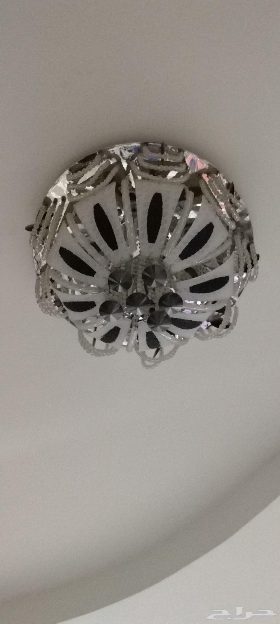 نجفه بانوار بريموت64420095124482110