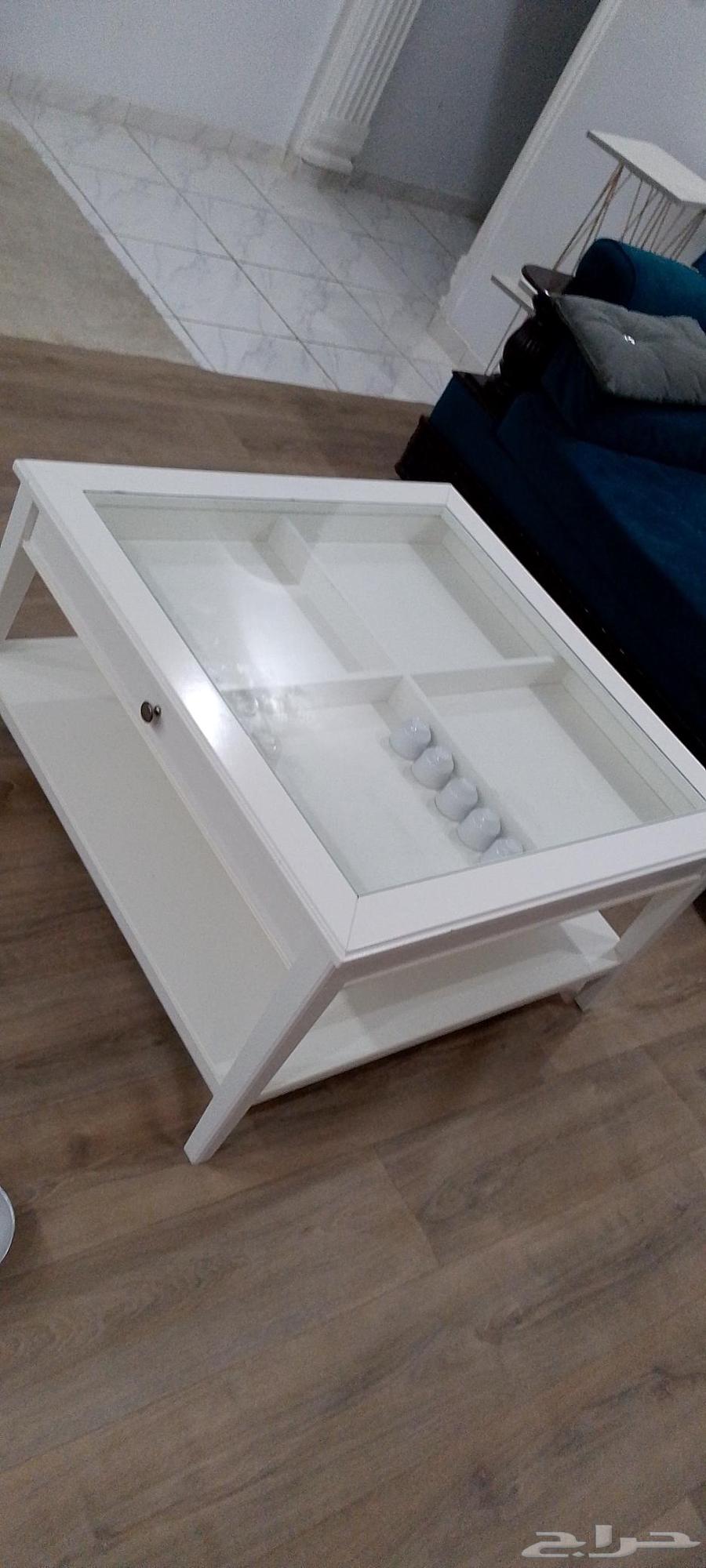 المدينه المنورة64423743685250110