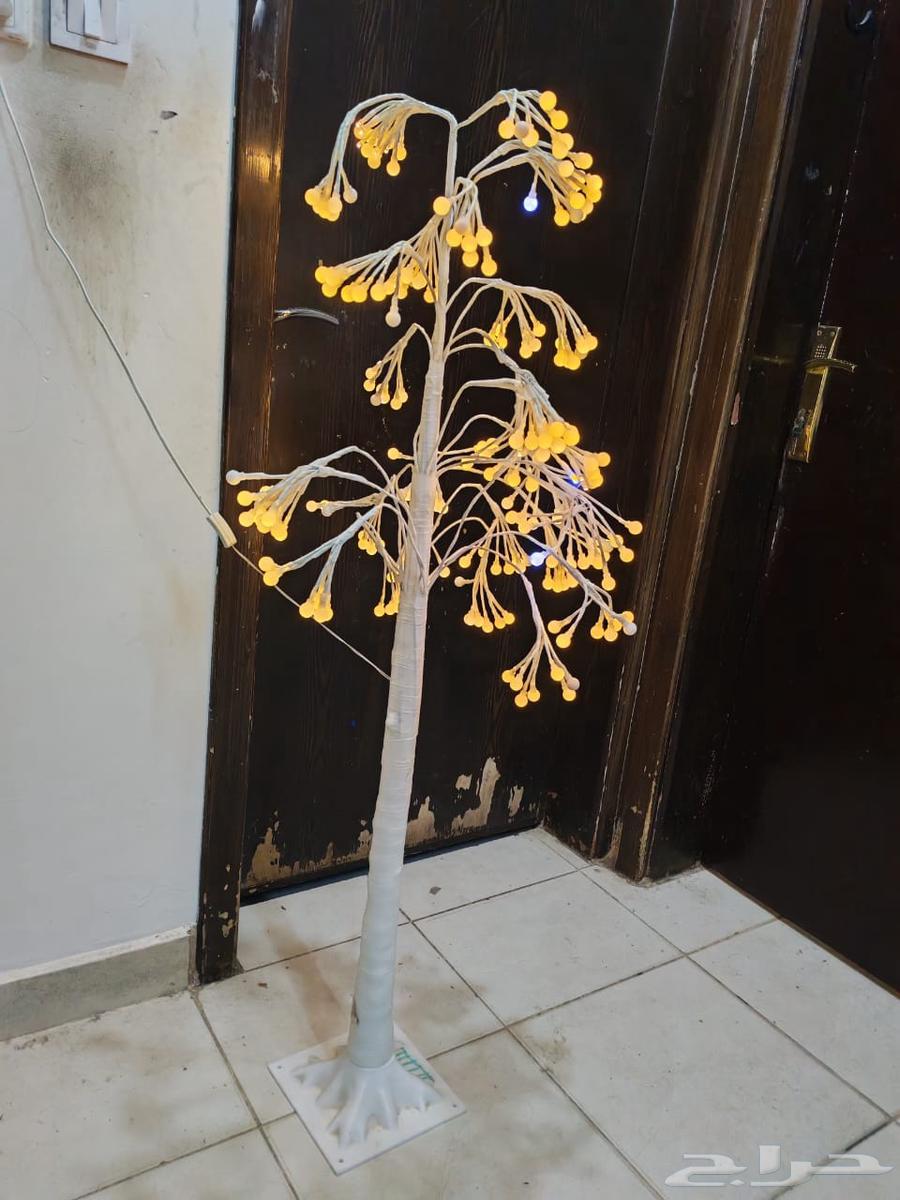 Decorative illuminated tree with lighting64420675019905111