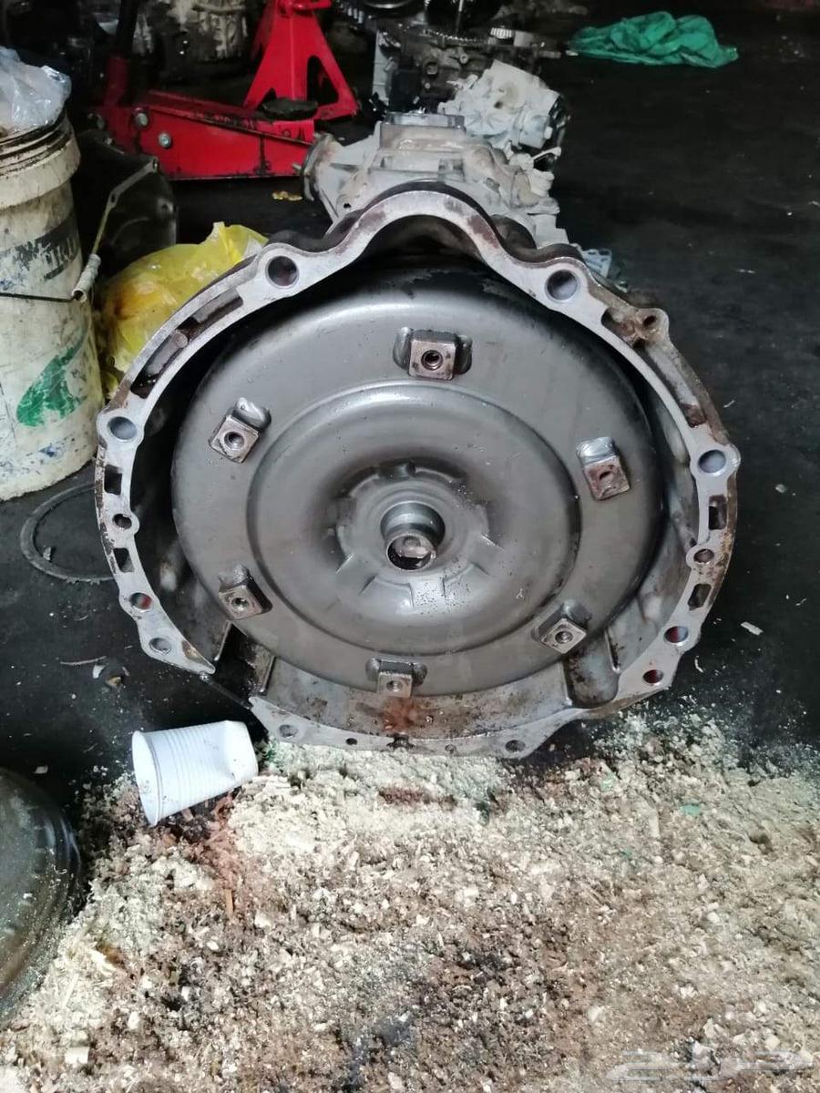 2010 Camera Gear and Agency64582771694338111