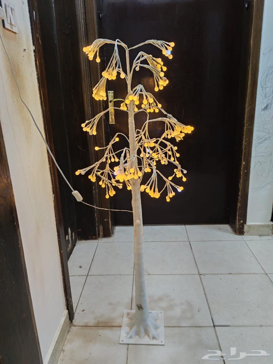 Decorative illuminated tree with lighting64420675019905110