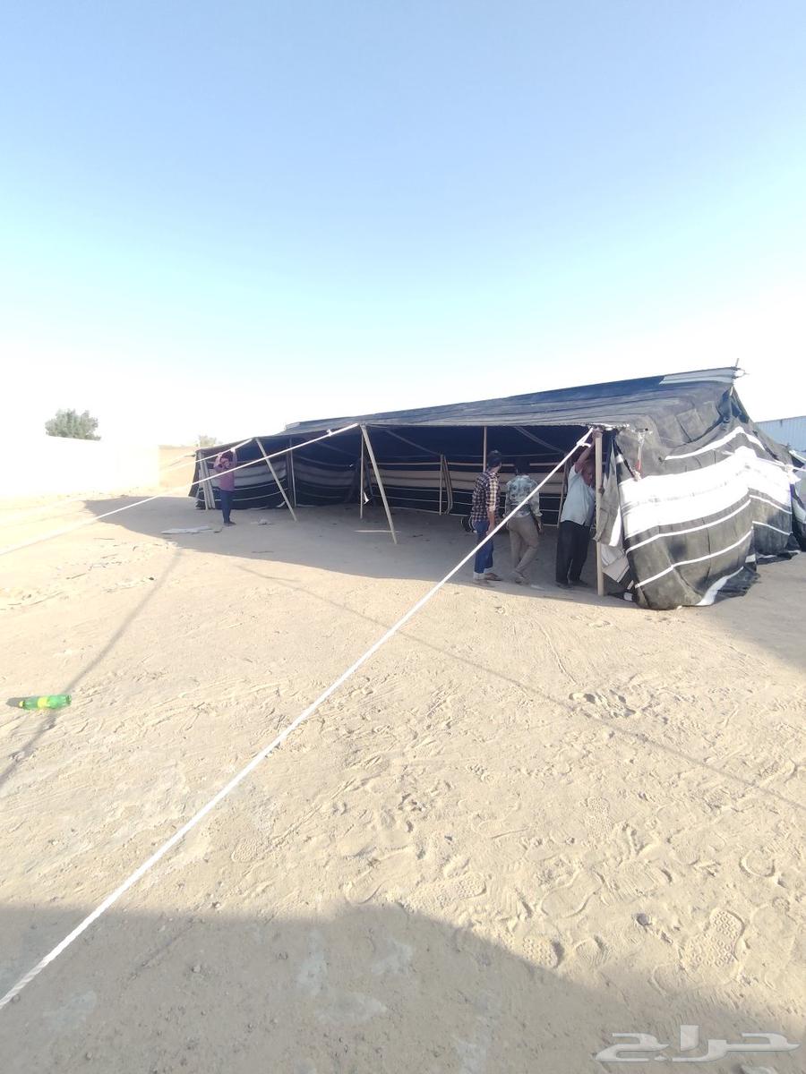 Tents, Bedouin tents, and seating majlis with new meter contact via WhatsApp only64424624848130114