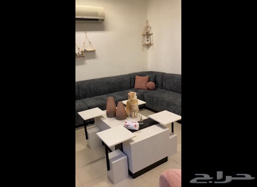 Sofa64430381695746111