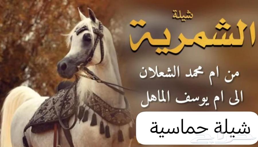 Zaffat Zafah Zaffat_Ar'as Zaffat_bilal2sm64414063675393112