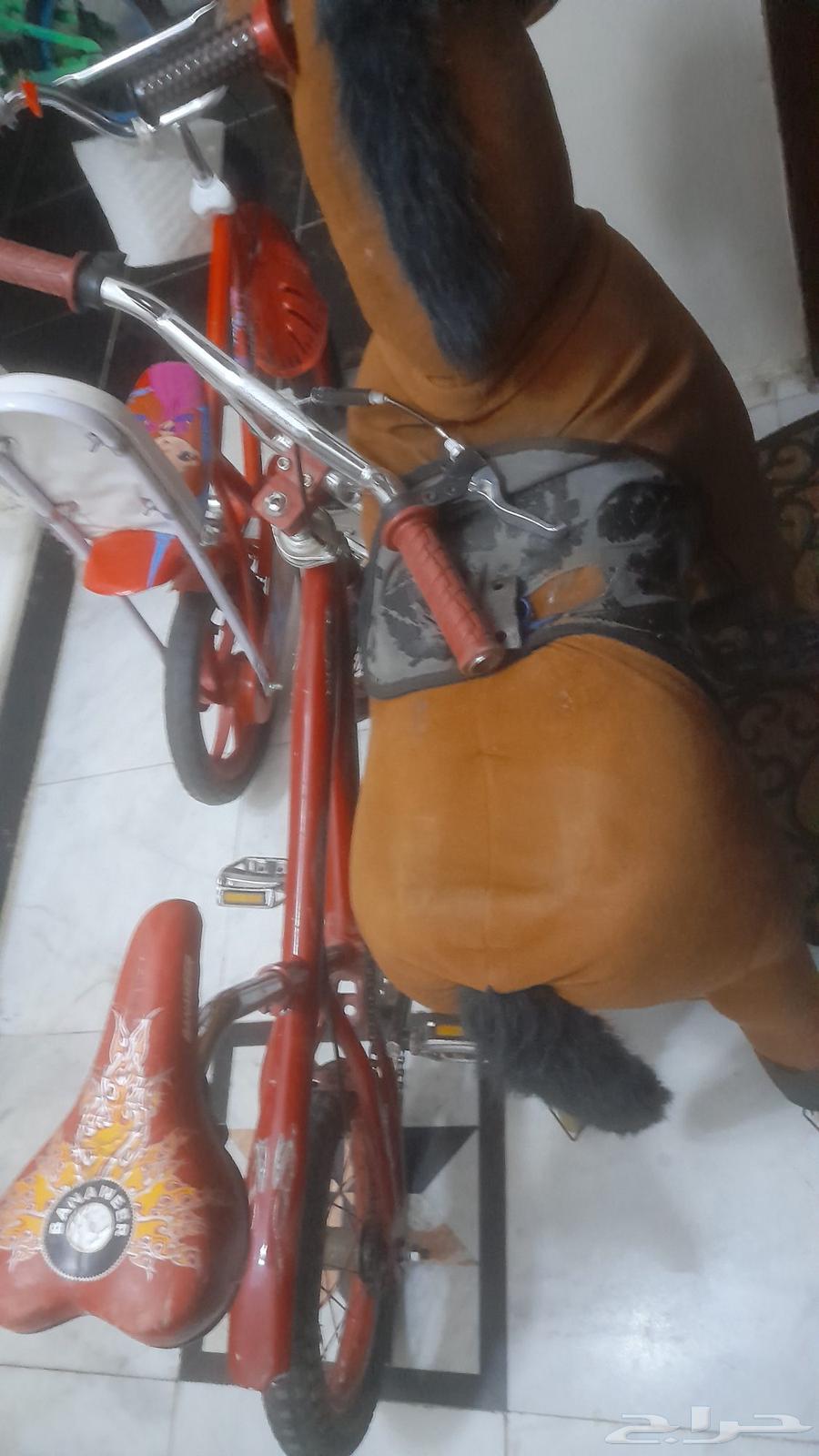 درجتين وحصن للبيع64432482231170112