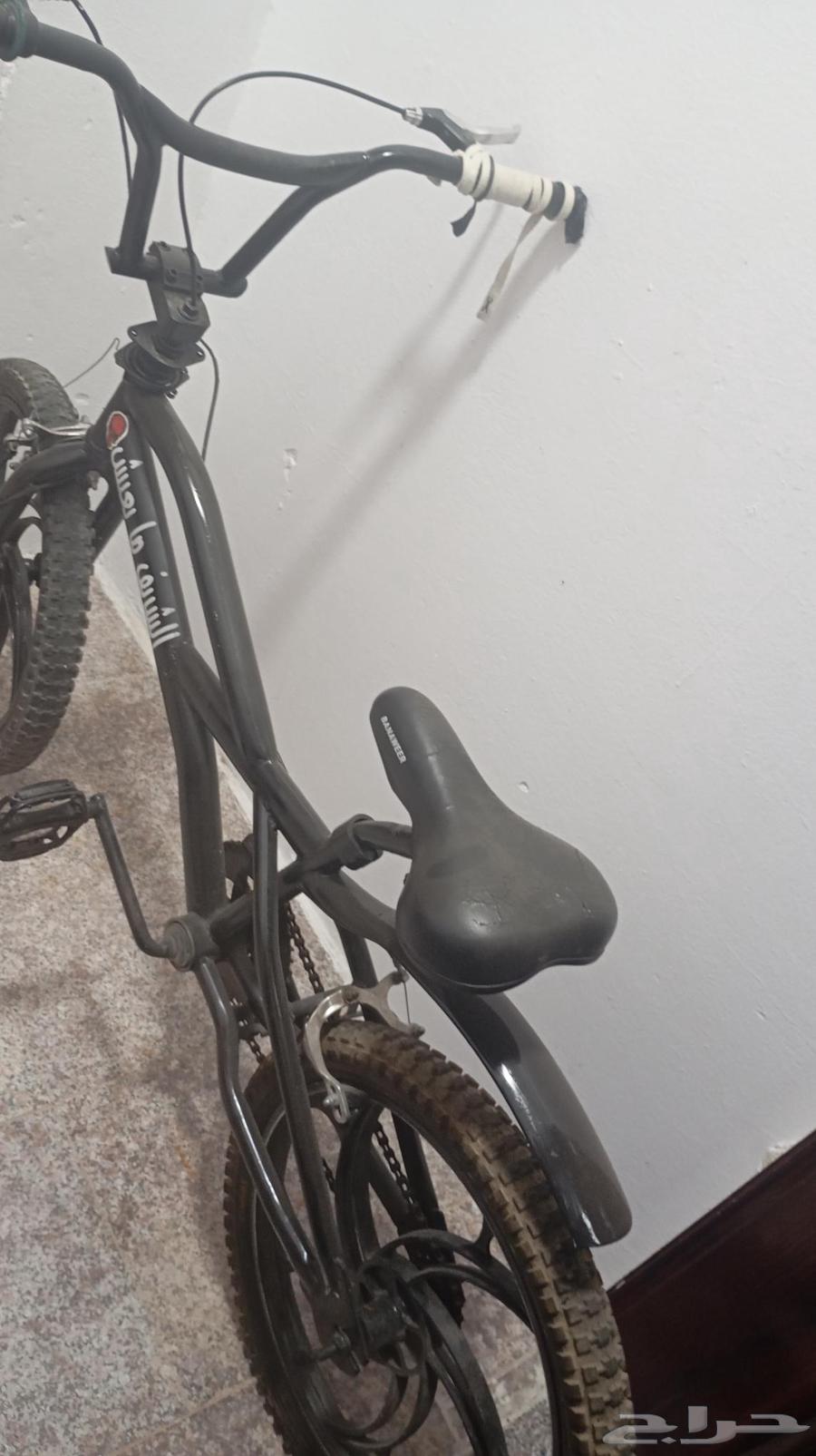 كوبرا للبيع(مخزن)64430489247618110