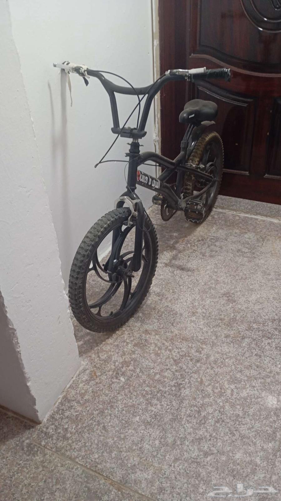 كوبرا للبيع(مخزن)64430489247618111