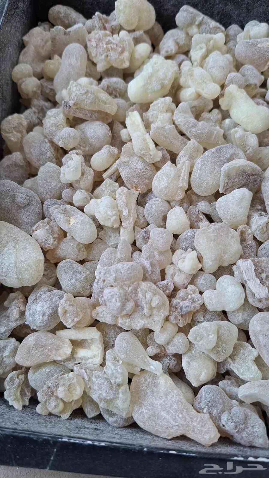Today's Hojari frankincense is clean, fresh, and available with soap64431800801666110