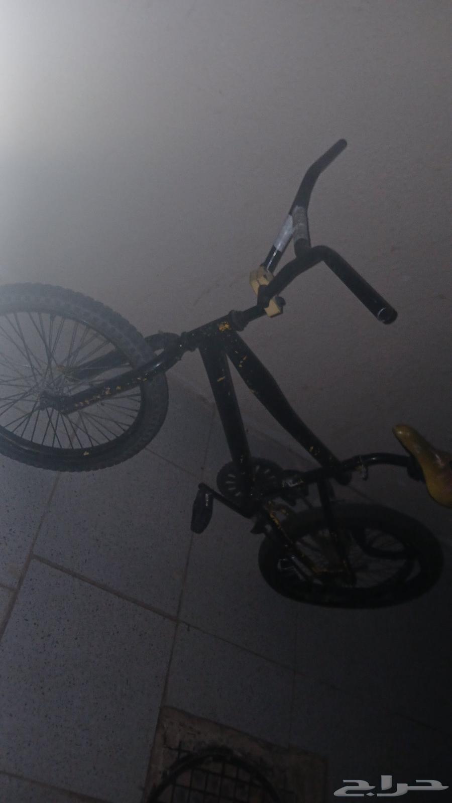 سيكل مقاس 20 على السوم64427076067203110