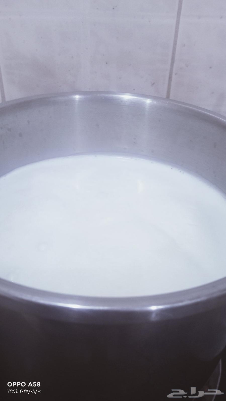 منتجات بلدية مكفولة حليب طازج جبنة بيضة لبنة زعتر من المزرعة64587925882883111