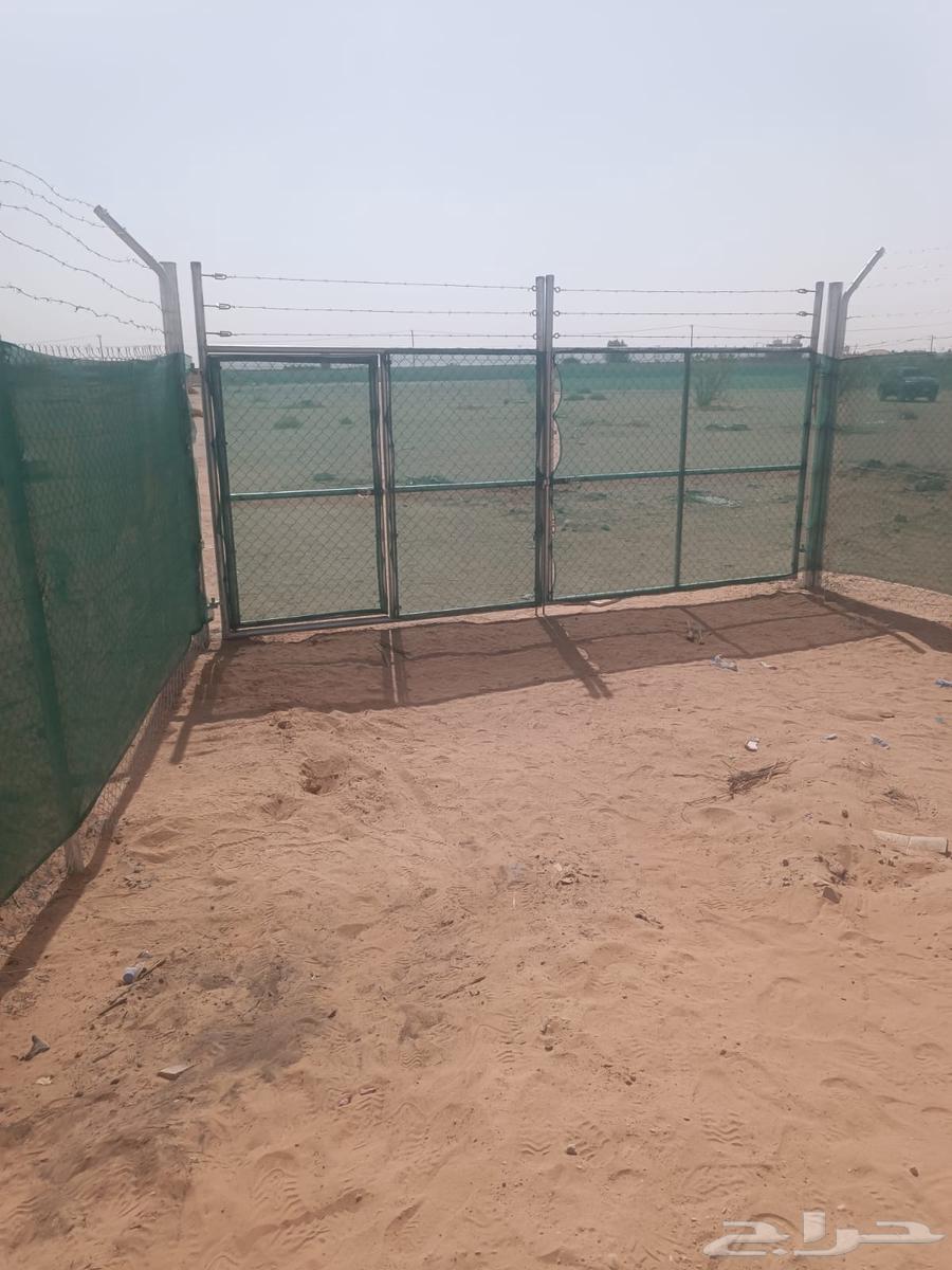 مقاول شبوك64241847240834110