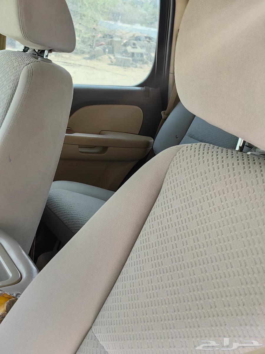 Yukon Short 200864591936835331113