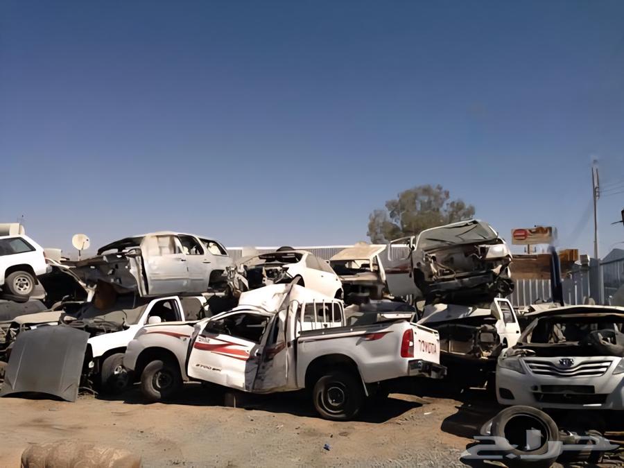 مندوب بحث في تشاليح نجران64589153921539112