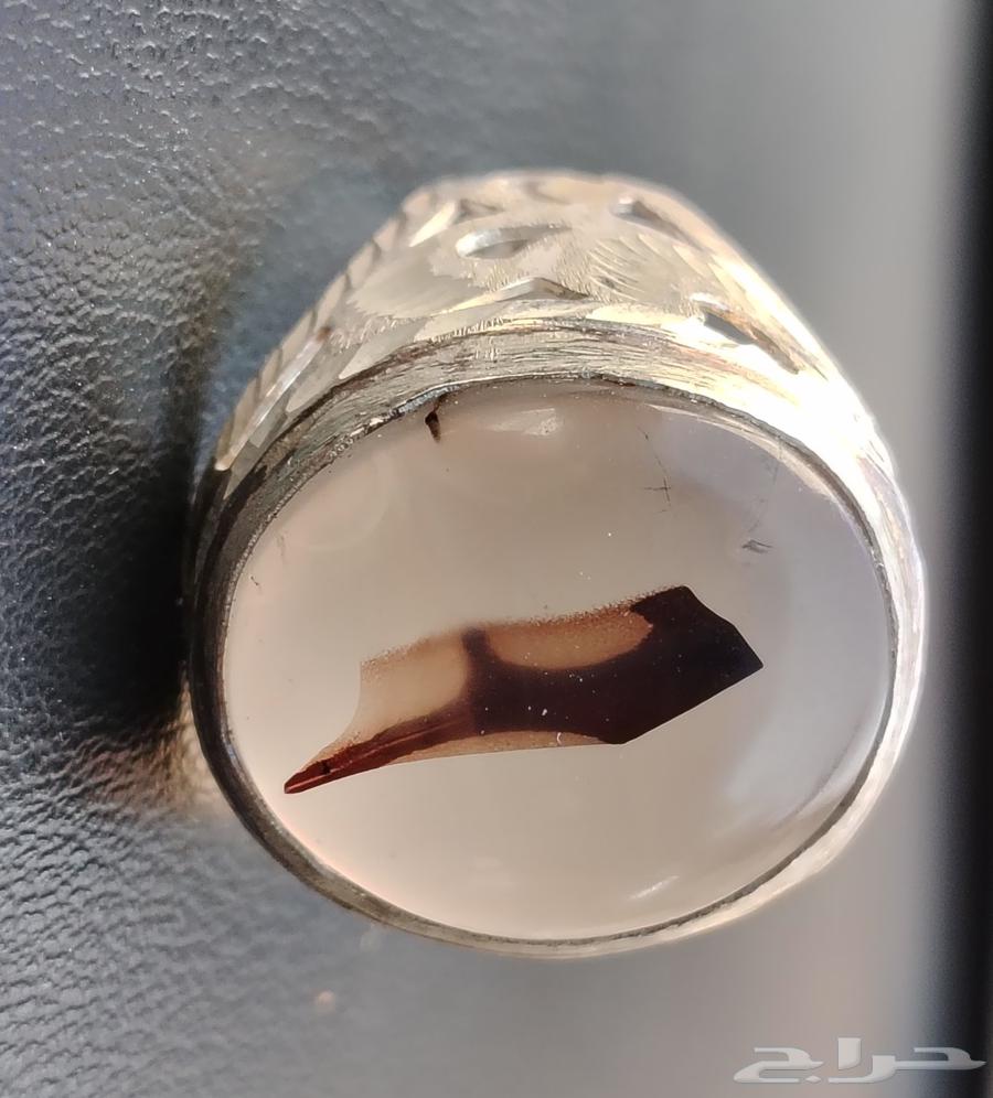 عقيق يماني مصور طائر64432863222273112