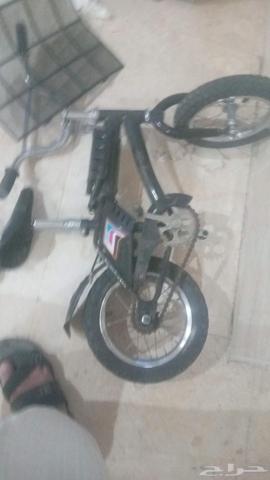 دراجة رامبو للبيع64430531855874110