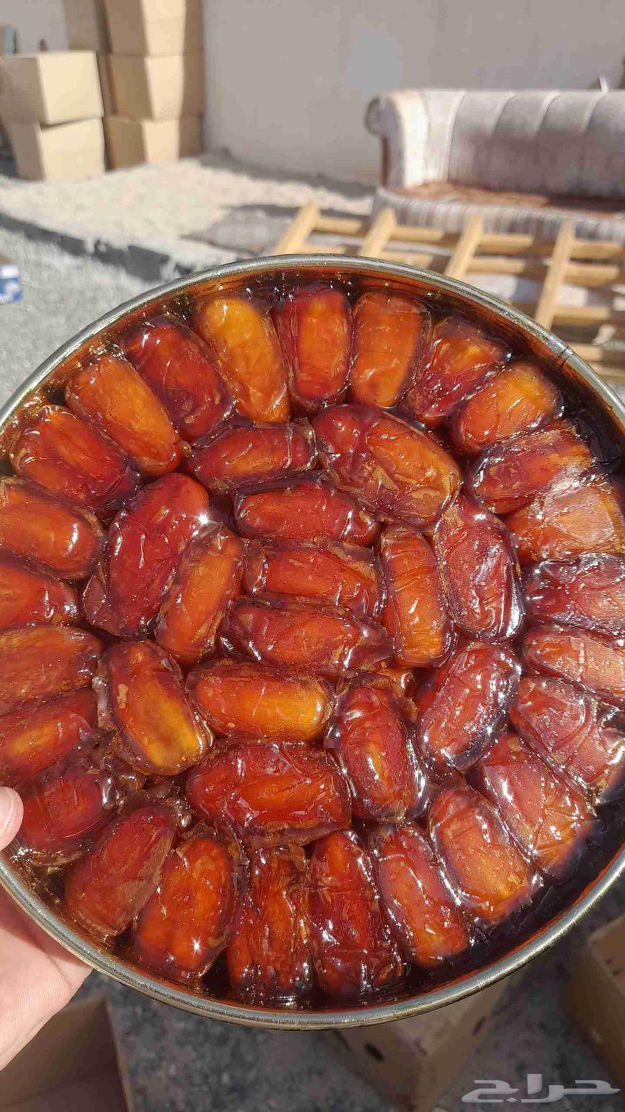 Al Safri Bisha First Grade Large Seed Dates64430967927811111