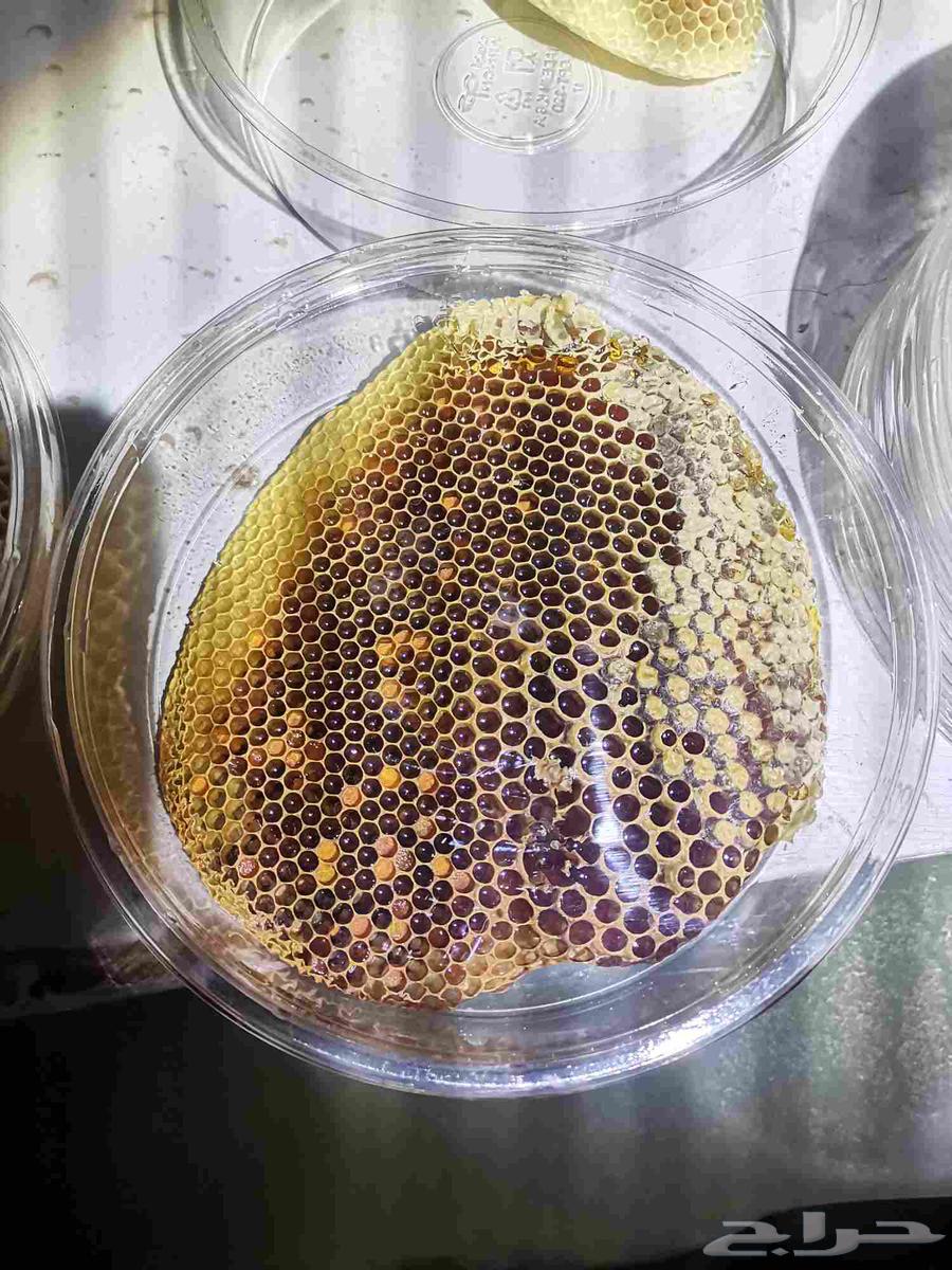 Samer Samra Honey, Qatad Honey, Salam Honey, Sahah Honey64427892230787110