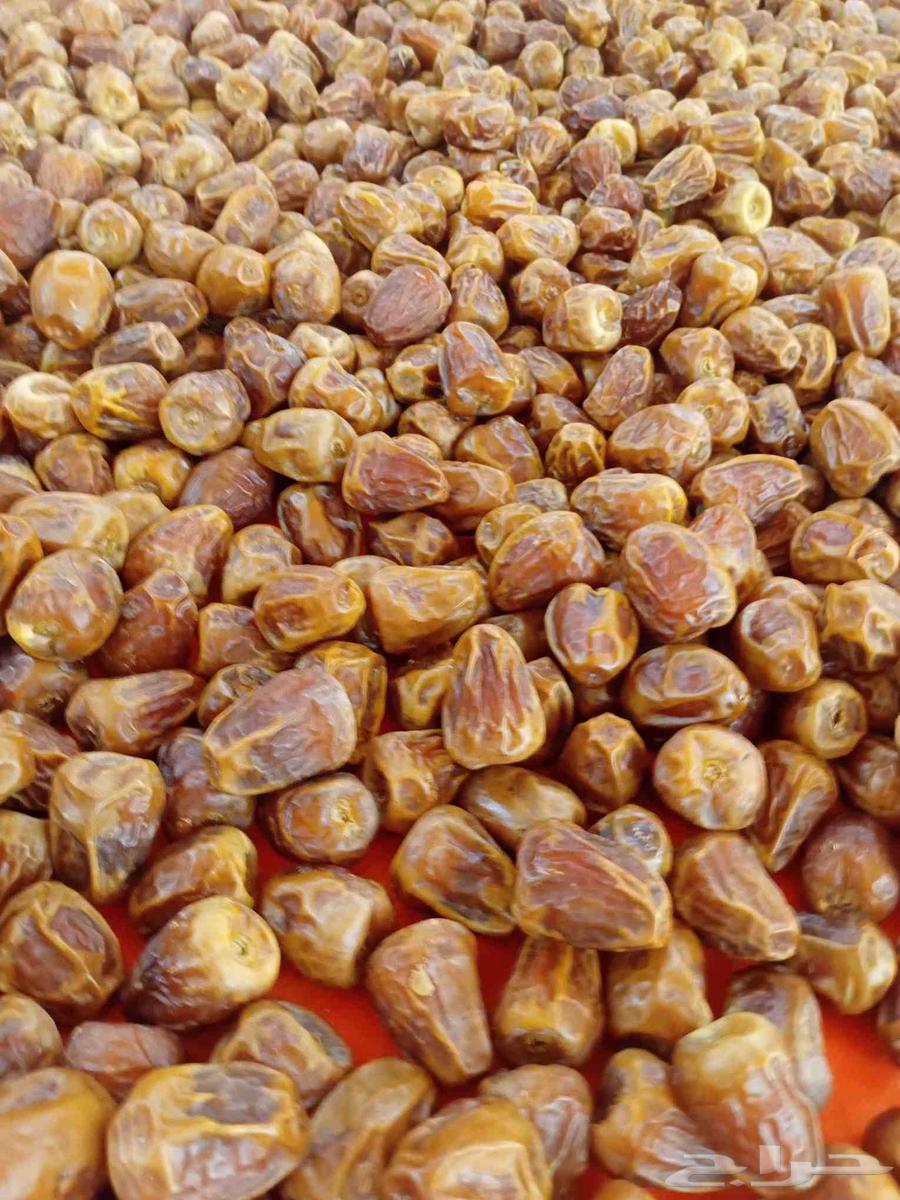 Sukkari dates and Nabtat Ali for sale64427704281730114