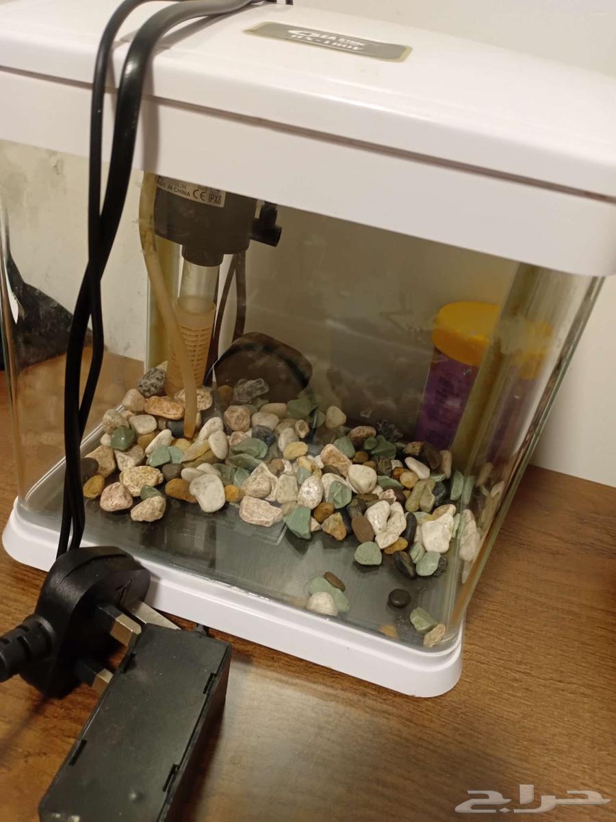 طاوله خشبية دائرية بحاله جيد8. حوض سمك مع الفلتر مرتبه64427330925059112