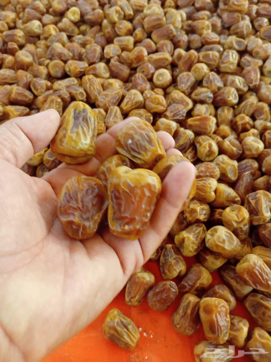 Sukkari dates and Nabtat Ali for sale64427704281730111